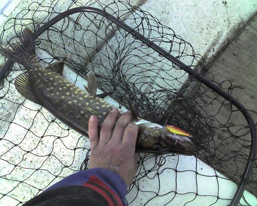 060518_180932 KAUDEN EKA.JPG