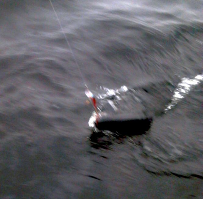 2012-11-03 10.16.21.jpg