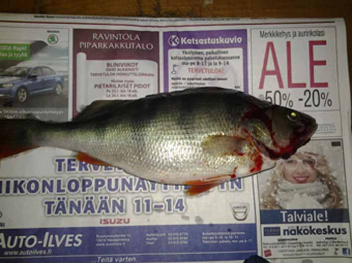 2013-01-13 14.22.39.jpg