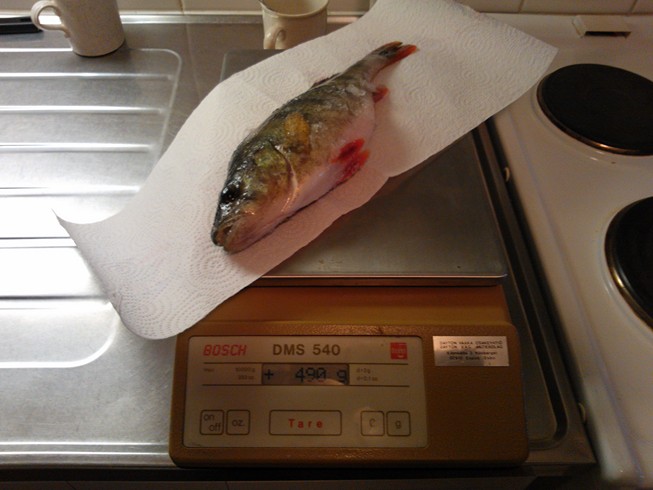 WP_000012 (Kopio).jpg