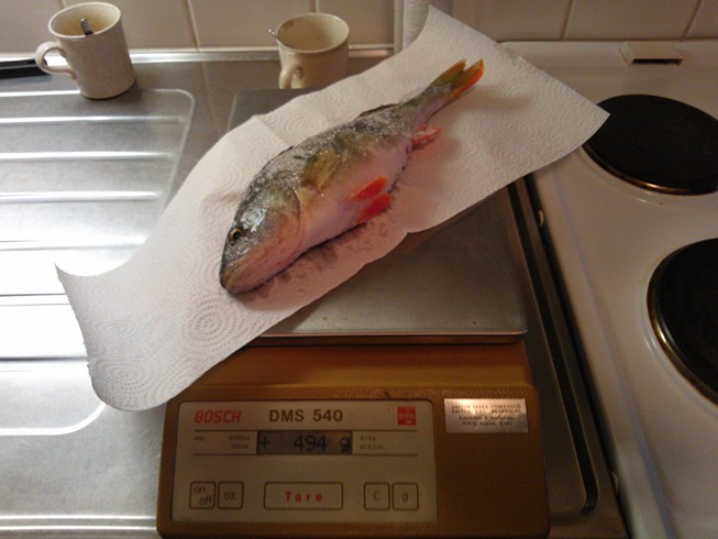 WP_000013 (Kopio).jpg