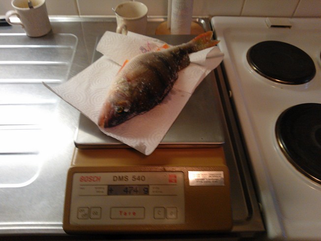 WP_000014 (Kopio).jpg