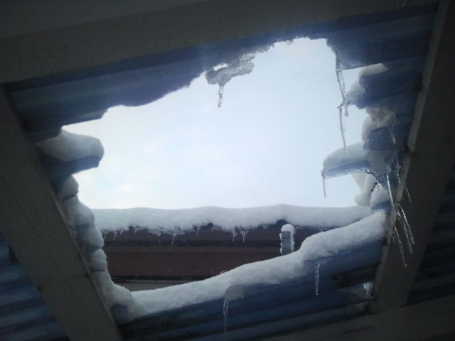 2013-01-10 14.57.47-13396518.jpg