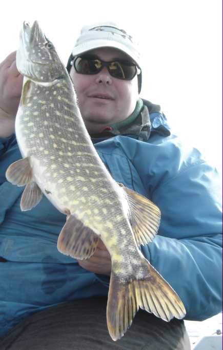 häröllä 2,7kg 71cm.JPG