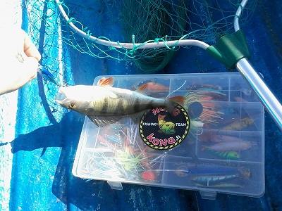 ahven rapalalla – Kopio.jpg