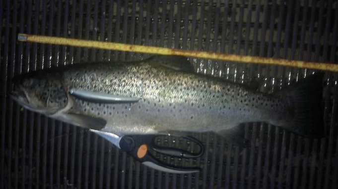 Elokuun avausreissu &amp; ylläritärppi..