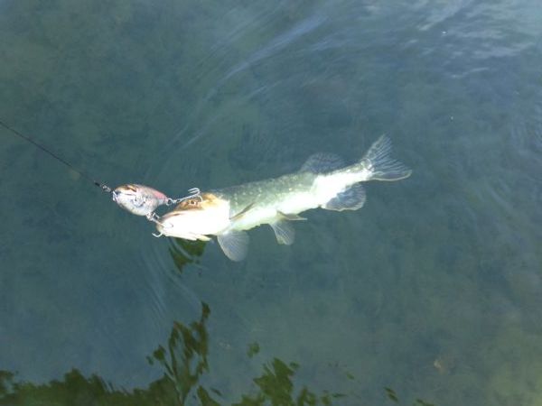 2013-10-12 13.34.47.jpg