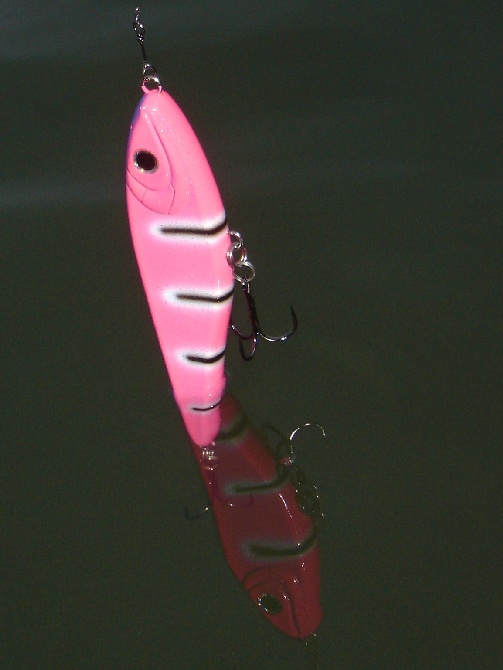 vitonen ja plus5.JPG