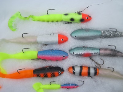 parvi jättiläisiä, orkkis mittakaavana.jpg