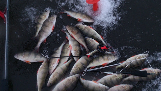 kävi joku mörkö koittaas, en tost vavast silti tykännykkaa, ja tilalla jo parempi :D