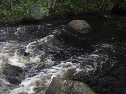 IMGP0014 – Kopio.JPG