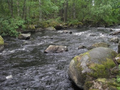 IMGP0020 – Kopio.JPG