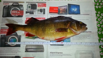 20140401_155816 (400x225).jpg