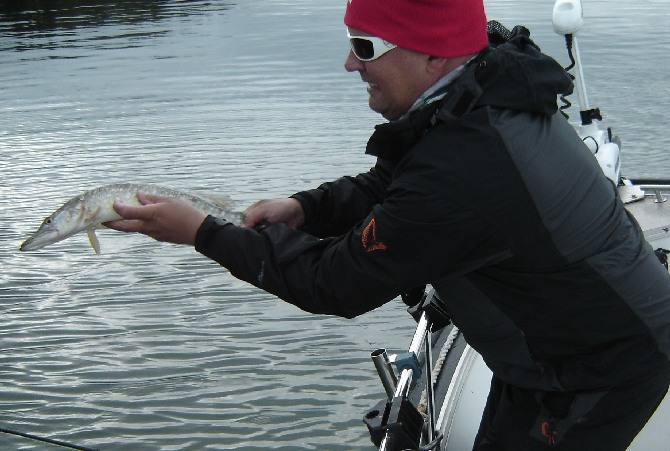 Karkasi käsistä.JPG