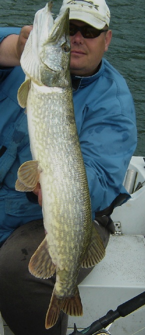 4,9kg 92cm.JPG