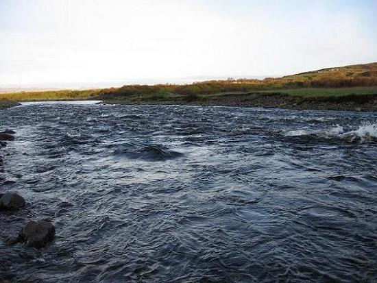 KALAKUVAT Norjasta 7.jpg