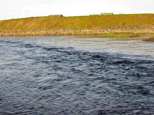 KALAKUVAT Norjasta 11.jpg