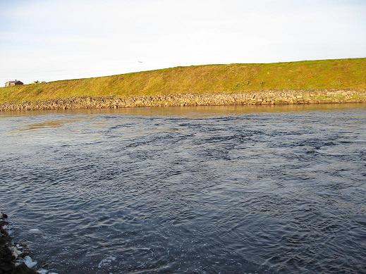 KALAKUVAT Norjasta 12.jpg