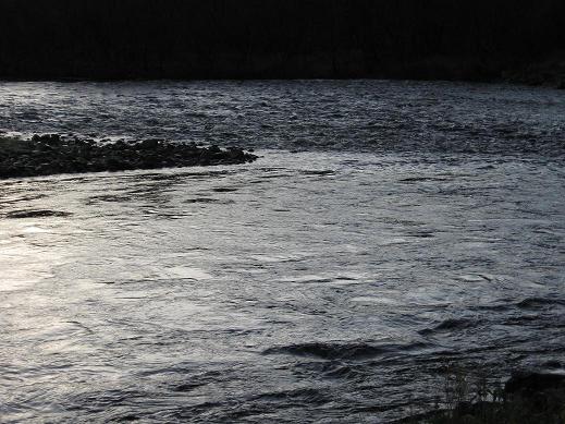 KALAKUVAT Norjasta 17.jpg