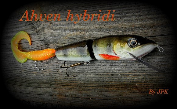 Ahven hybridi 2 (Copy).jpg