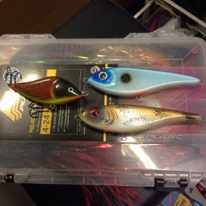 2kuva Buster I-duke Ja 10cm salmo slider uppo 18e