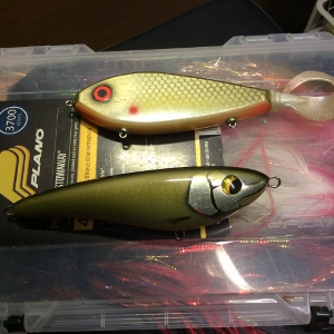 4kuva Jio ja freestyler 31e