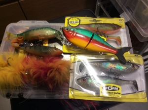 Suspeja shallow -Xbuster ja i-fish heittoperho 30e