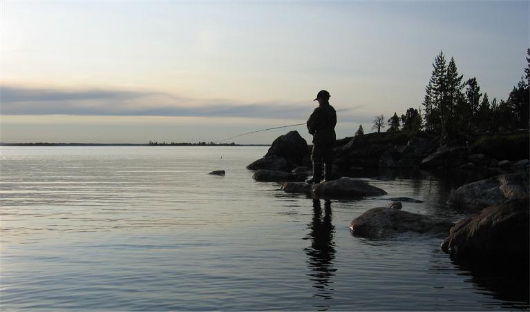 Juniori rannalla.jpg