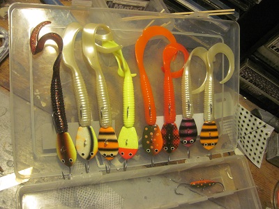 Kaimaani Suurhauki.jpg