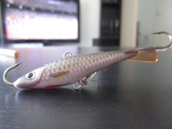 1. Särki/ahven hybridi