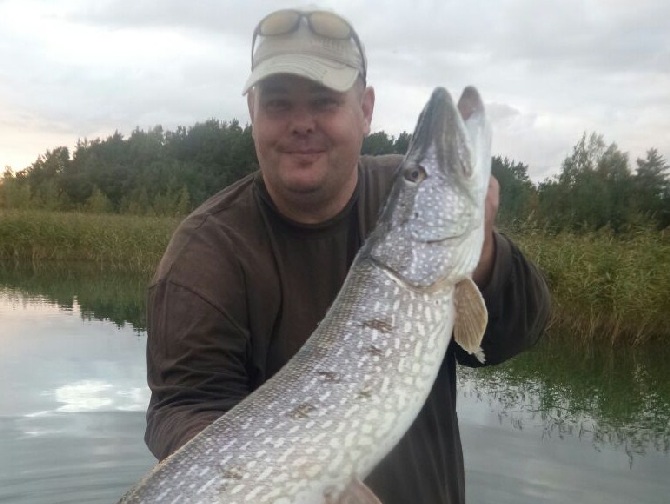 3 sairaan ysi enkka.JPG