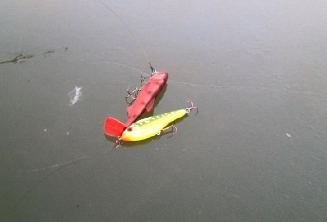 5 bigmouth ja busa.JPG