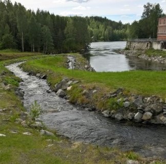 WP_20160720_15_27_58_Pro (3) (Mobile) (Mobile).jpg