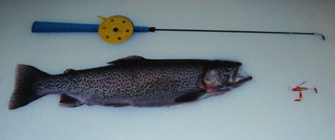 pitkä takakahva 50 mm. purosta pilkitty 80 luvun loppu kait.. oranssi rapala ja koukut täyteen toukkia...JPG