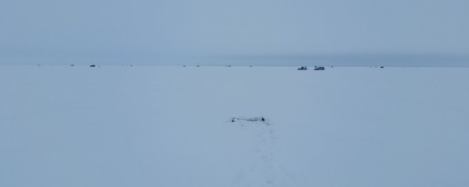 20170203 Varjakka (2).jpg