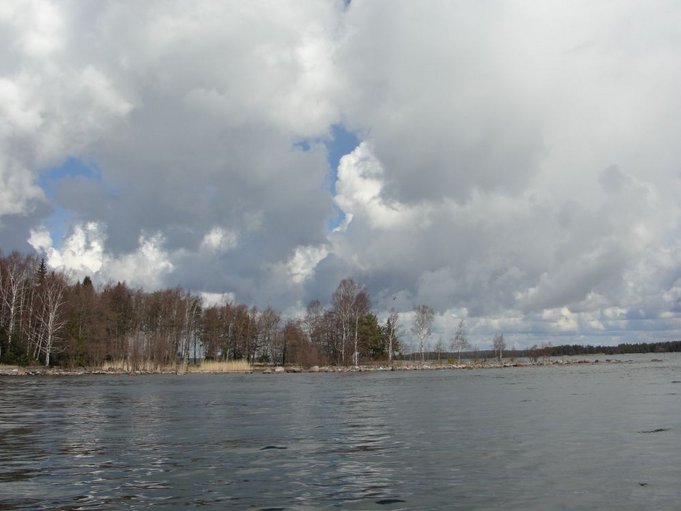 Mikäs se siellä liitelee.jpg