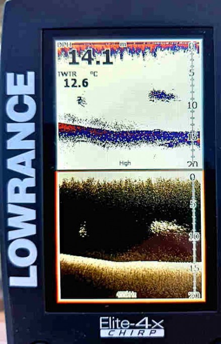 kaiku 052020 smal.jpg