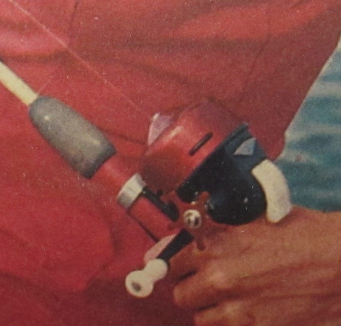 kotiliesi ....2...........jpg