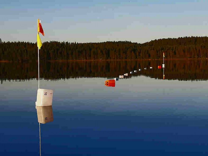 Siinä silmä lepää