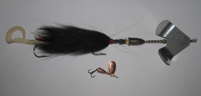 Blue fox....3....................jpg