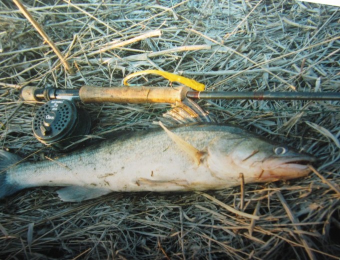 Scott Heliply....2..........................jpg