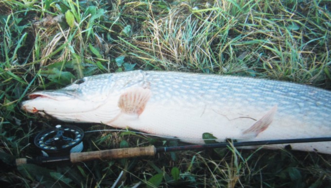 Scott Heliply....3..........................jpg