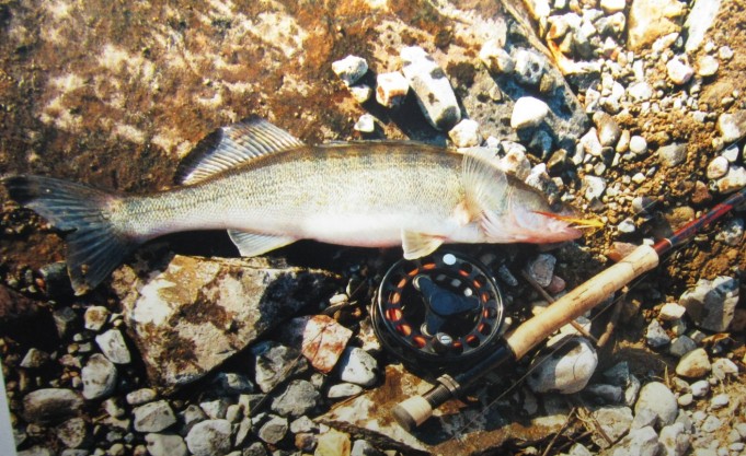 Scott Heliply....4..........................jpg