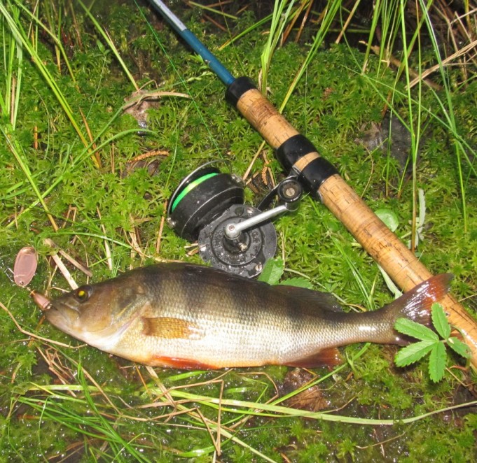 P & M ....1..................................jpg