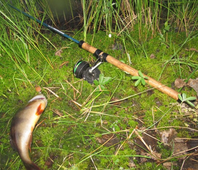 P & M ....2..................................jpg