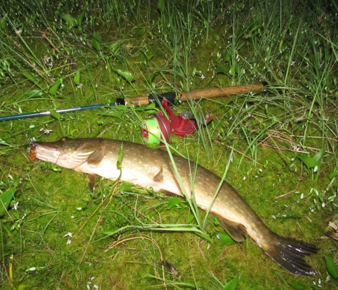 DAM ja lampi....1......jpg