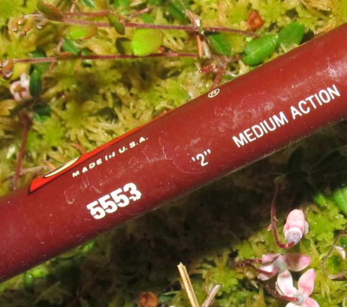 cardinal 77....6.............................jpg