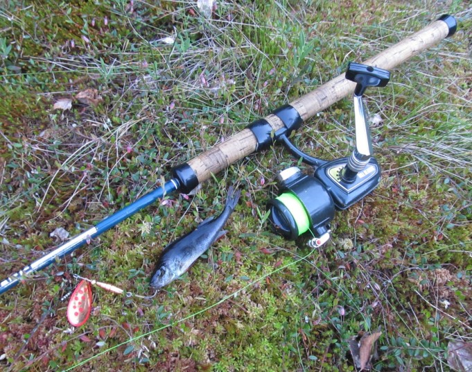 shakespeare 2270....3...........jpg