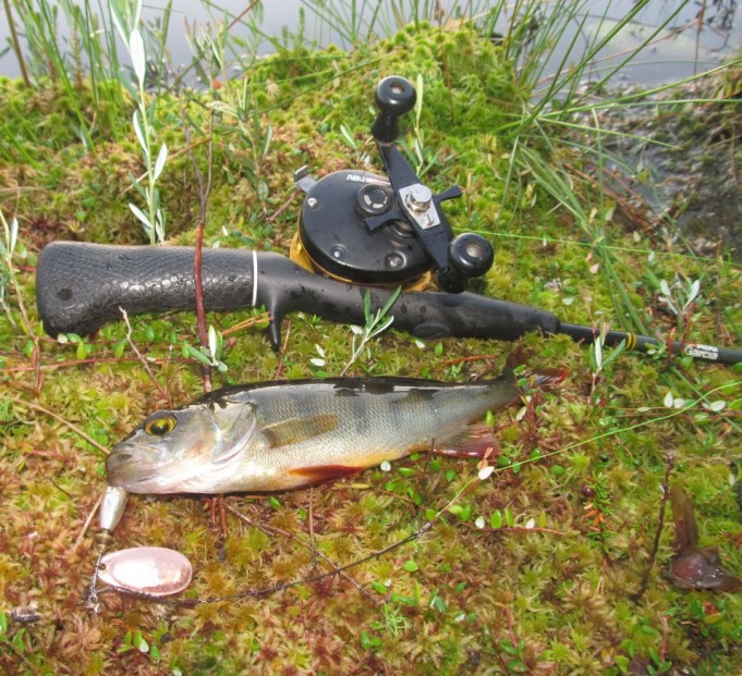 ABU 22....3...................jpg