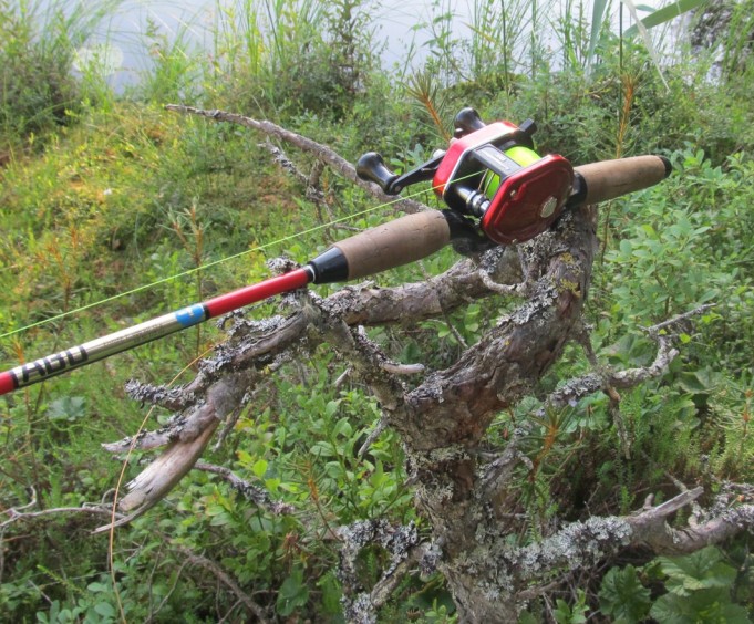 punaiset ABUt....3.....jpg